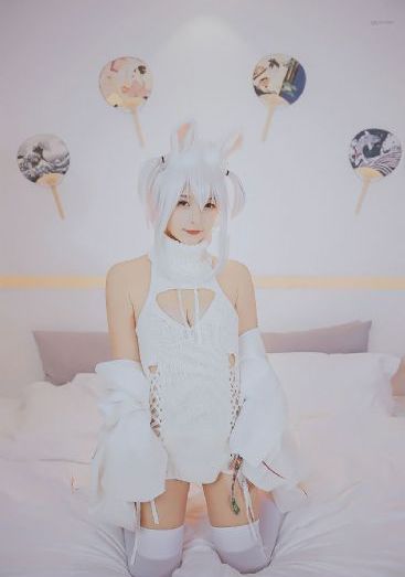 神马电影网午夜_DVD免费观看最新