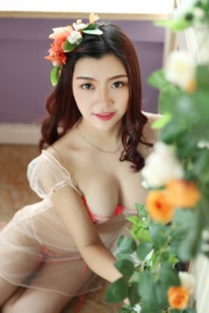 老司机免费观看_超清免费观看电视剧